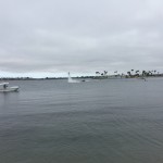 View from my paddle board